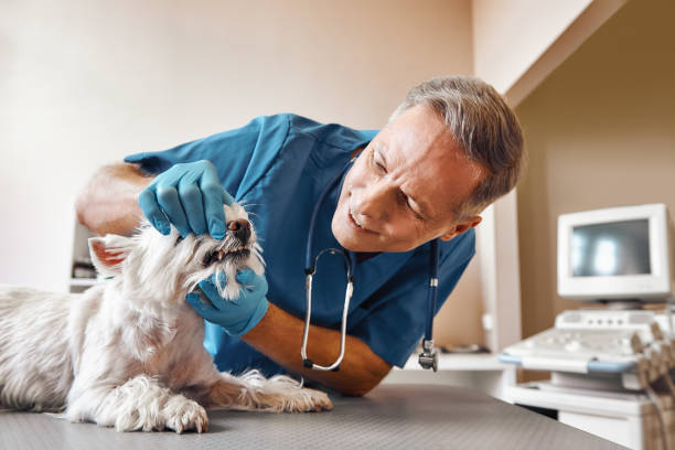 Best Emergency Root Canal Treatment in Benbrook, TX